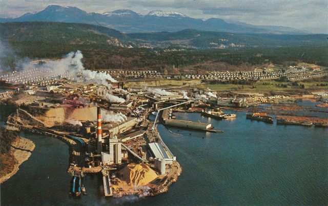 Pulp and paper mill
