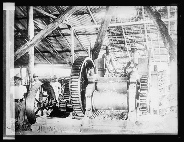 Sugar mill cane crushing rollers